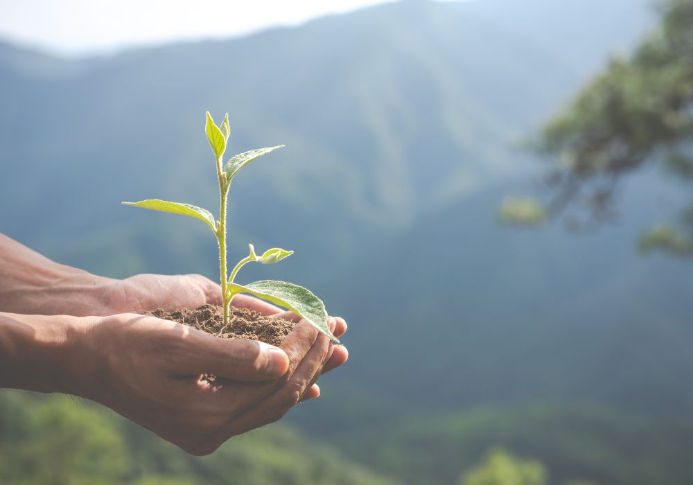 Implementação do Plano Clima